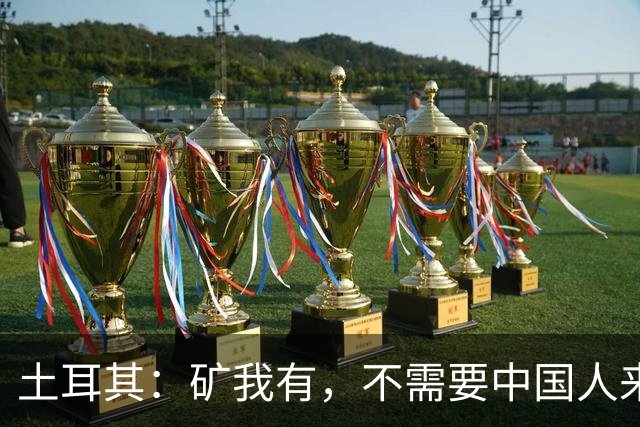 土耳其：矿我有，不需要中国人来，只要你教我怎么把石头变成钱！
